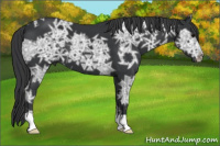 Horse Color:Black Ice 