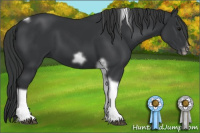 Horse Color:Black Tobiano Frame