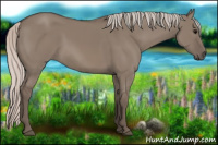 Horse Color:Silver Grullo 