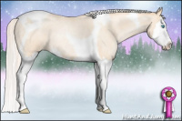 Horse Color:Silver Amber Champagne Roan Pearl Dun Splash Tobiano Rabicano