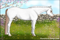 Horse Color:White Spotted Chestnut Frame 
