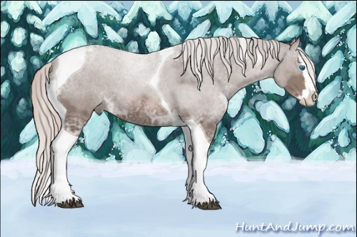 Horse Color: Silver Black Ice Splash Tobiano 