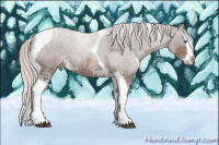 Horse Color:Silver Black Ice Splash Tobiano