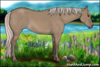 Horse Color:Silver Grullo Roan 