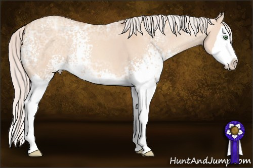 Horse Color: White Spotted Silver Classic Champagne Ice Dun Sabino Splash 