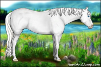 Horse Color:Silver Amber Cream Champagne Roan Splash Tobiano Blanket 