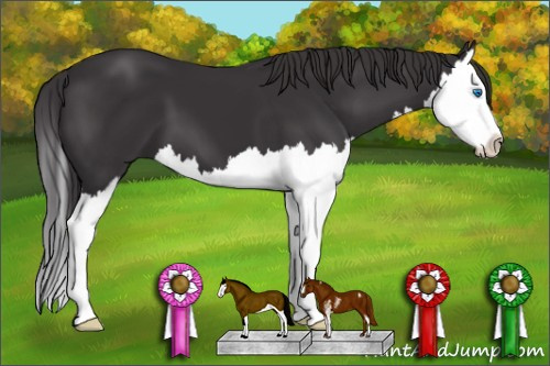 Horse Color: Smoky Black Sabino Splash 