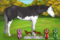 Horse Color:Smoky Black Sabino Splash 