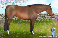Horse Color:Bay Sabino 