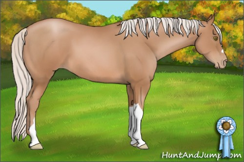Horse Color: Silver Brown Pearl 