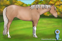 Horse Color:Silver Brown Pearl 