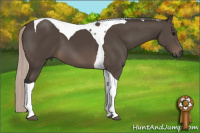 Horse Color:Gray Silver Brown Tobiano 