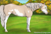 Horse Color:Silver Classic Champagne Dun Splash Frame 