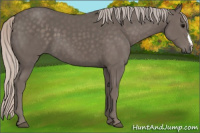Horse Color:Silver Black 