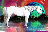 Horse Color:Blue Roan Splash Leopard 