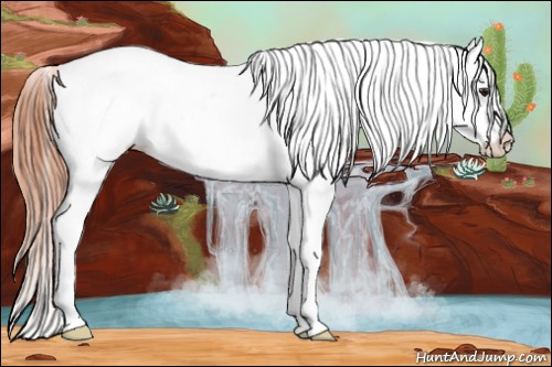 Horse Color: Classic Champagne Blanket 