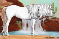 Horse Color:Classic Champagne Appaloosa 