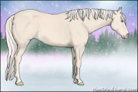Horse Color:Cremello 