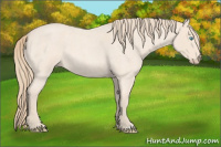 Horse Color:Perlino Roan 