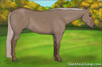 Horse Color:Silver Grullo 