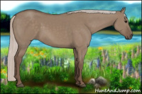 Horse Color:Silver Grullo 
