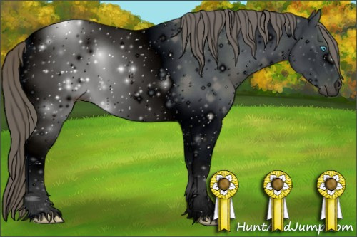 Horse Color: ERROR: UNKNOWN ANOMALY