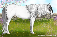 Horse Color:Smoky Black Splash Tobiano