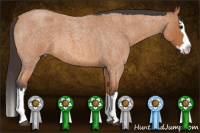 Horse Color:Bay Roan Splash 