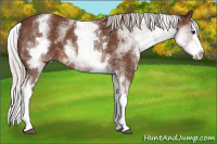 Horse Color:White Spotted Silver Brown Splash 