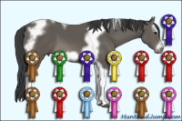 Horse Color:Black Splash Tobiano Frame 