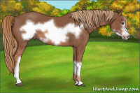 Horse Color:Liver Chestnut Frame 