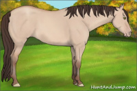 Horse Color:Amber Champagne Dun 