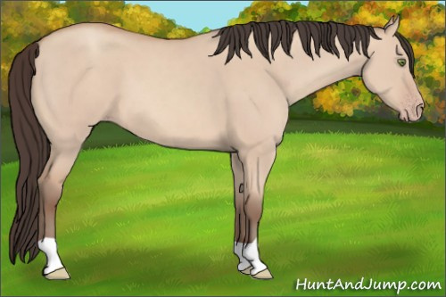 Horse Color: Amber Champagne Dun 