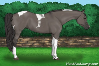 Horse Color:Smoky Grullo Tobiano 