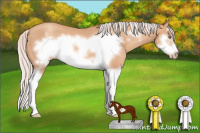 Horse Color:Silver Amber Champagne Splash Frame 