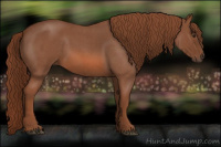 Horse Color:Liver Red Roan 