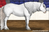 Horse Color:Palomino Near Leopard 