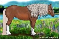 Horse Color:Silver Bay 