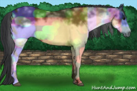 Horse Color:White Spotted Blue Roan Frame 
