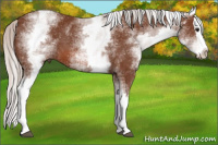 Horse Color:White Spotted Silver Bay Splash 