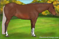 Horse Color:Silver Bay 
