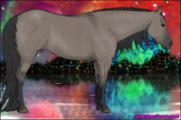 Horse Color:Grullo 
