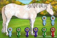 Horse Color:White Spotted Perlino 