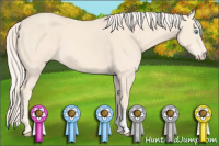 Horse Color:Cremello 