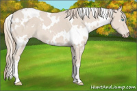 Horse Color:White Spotted Smoky Creme 