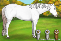 Horse Color:Black Appaloosa Rabicano 
