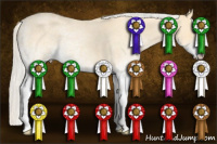 Horse Color:White Spotted Silver Amber Cream Champagne Roan Dun 