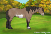 Horse Color:Bay Roan Dun Frame Rabicano