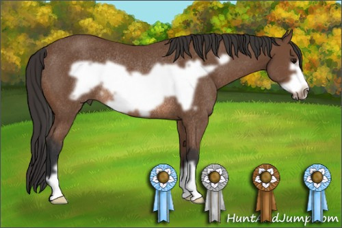 Horse Color: Bay Frame Rabicano 