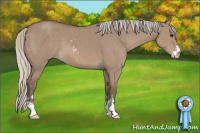 Horse Color:Silver Grullo Sabino 